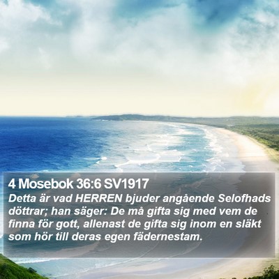 4 Mosebok 36:6 SV1917 Bible Verse Image