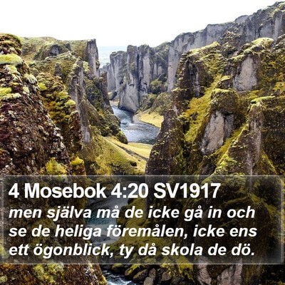 4 Mosebok 4:20 SV1917 Bible Verse Image
