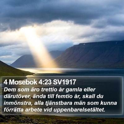 4 Mosebok 4:23 SV1917 Bible Verse Image