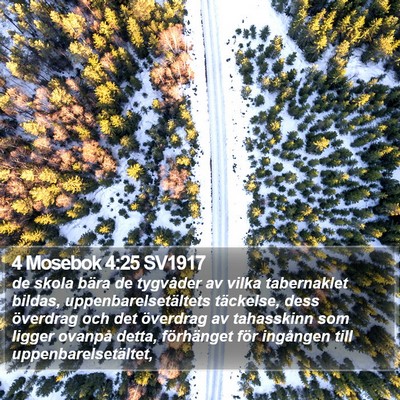 4 Mosebok 4:25 SV1917 Bible Verse Image