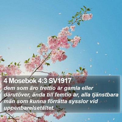 4 Mosebok 4:3 SV1917 Bible Verse Image