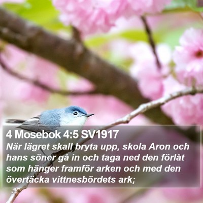 4 Mosebok 4:5 SV1917 Bible Verse Image