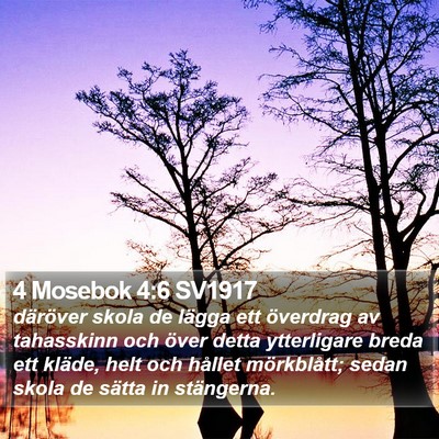 4 Mosebok 4:6 SV1917 Bible Verse Image