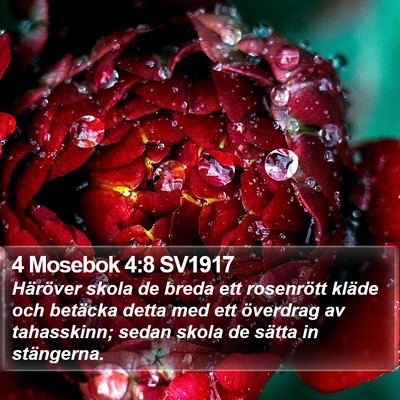 4 Mosebok 4:8 SV1917 Bible Verse Image