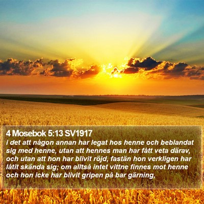 4 Mosebok 5:13 SV1917 Bible Verse Image