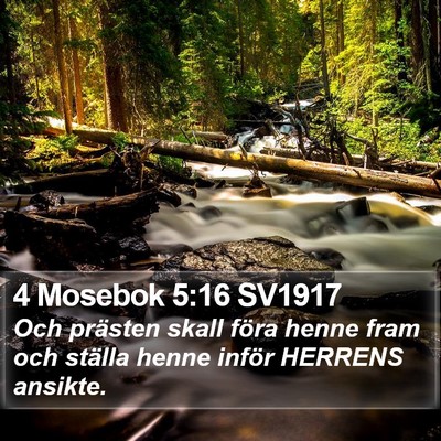 4 Mosebok 5:16 SV1917 Bible Verse Image