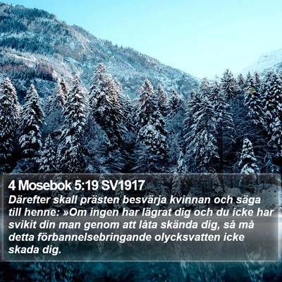 4 Mosebok 5:19 SV1917 Bible Verse Image