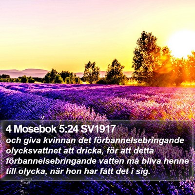 4 Mosebok 5:24 SV1917 Bible Verse Image