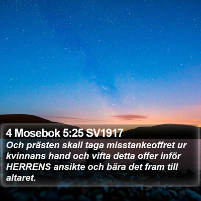 4 Mosebok 5:25 SV1917 Bible Verse Image