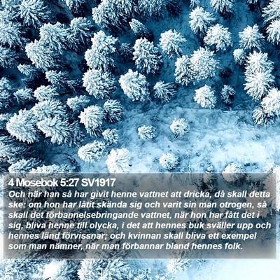 4 Mosebok 5:27 SV1917 Bible Verse Image
