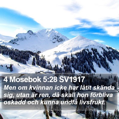 4 Mosebok 5:28 SV1917 Bible Verse Image