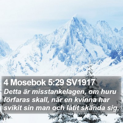 4 Mosebok 5:29 SV1917 Bible Verse Image