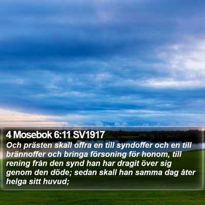4 Mosebok 6:11 SV1917 Bible Verse Image