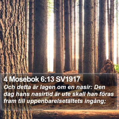 4 Mosebok 6:13 SV1917 Bible Verse Image