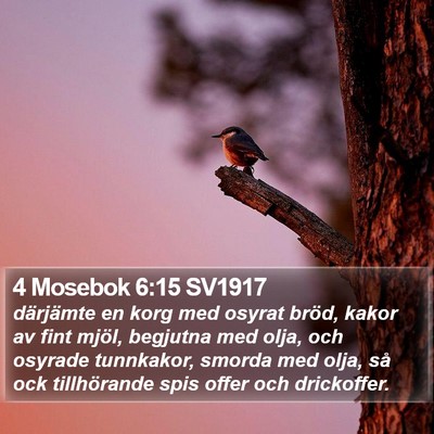 4 Mosebok 6:15 SV1917 Bible Verse Image