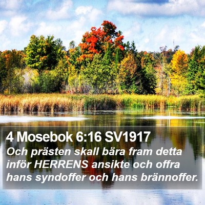 4 Mosebok 6:16 SV1917 Bible Verse Image