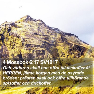 4 Mosebok 6:17 SV1917 Bible Verse Image