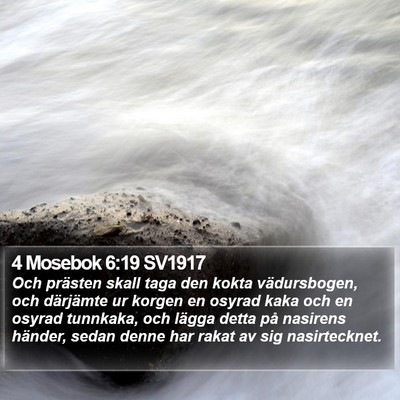 4 Mosebok 6:19 SV1917 Bible Verse Image