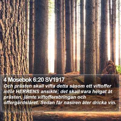 4 Mosebok 6:20 SV1917 Bible Verse Image