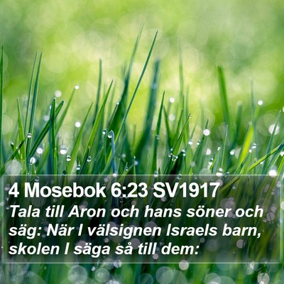 4 Mosebok 6:23 SV1917 Bible Verse Image
