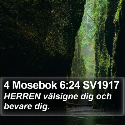 4 Mosebok 6:24 SV1917 Bible Verse Image