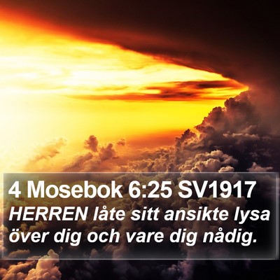 4 Mosebok 6:25 SV1917 Bible Verse Image