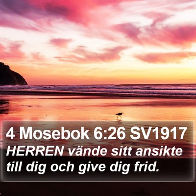 4 Mosebok 6:26 SV1917 Bible Verse Image