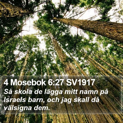4 Mosebok 6:27 SV1917 Bible Verse Image