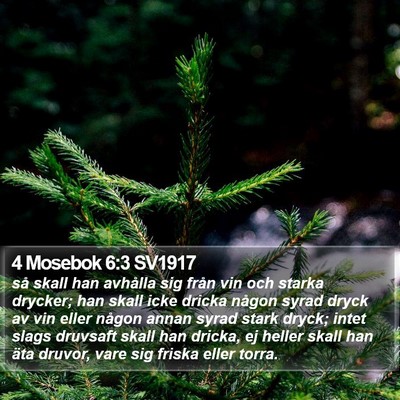 4 Mosebok 6:3 SV1917 Bible Verse Image