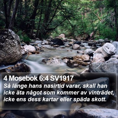 4 Mosebok 6:4 SV1917 Bible Verse Image