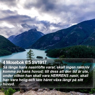 4 Mosebok 6:5 SV1917 Bible Verse Image