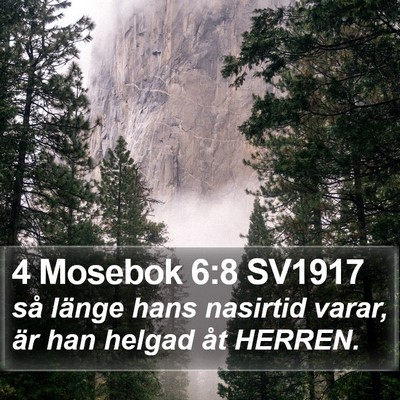 4 Mosebok 6:8 SV1917 Bible Verse Image