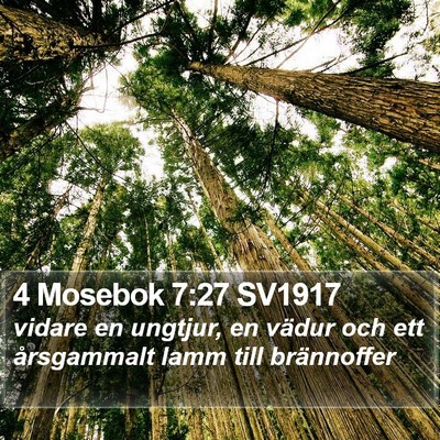 4 Mosebok 7:27 SV1917 Bible Verse Image