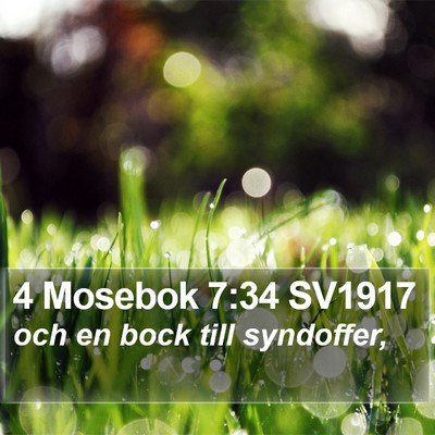 4 Mosebok 7:34 SV1917 Bible Verse Image