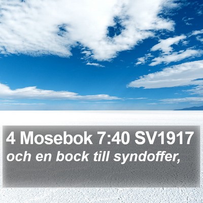 4 Mosebok 7:40 SV1917 Bible Verse Image