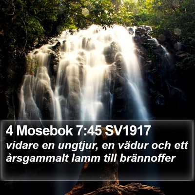 4 Mosebok 7:45 SV1917 Bible Verse Image