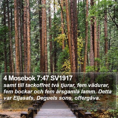 4 Mosebok 7:47 SV1917 Bible Verse Image