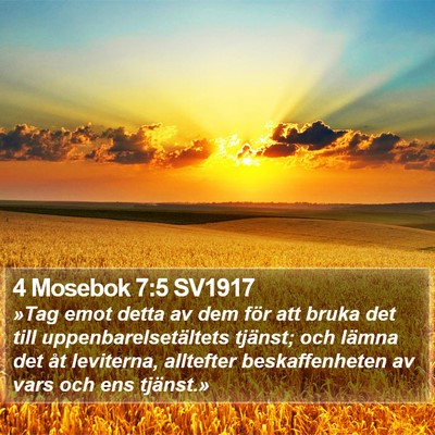 4 Mosebok 7:5 SV1917 Bible Verse Image
