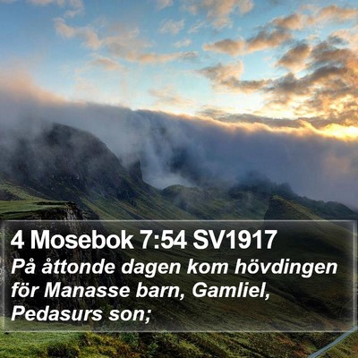 4 Mosebok 7:54 SV1917 Bible Verse Image
