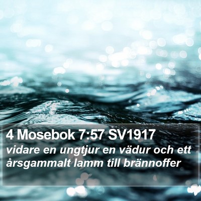 4 Mosebok 7:57 SV1917 Bible Verse Image