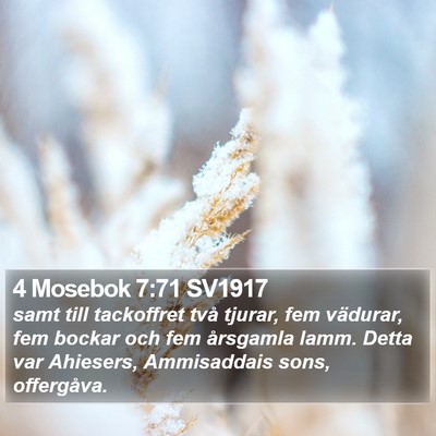 4 Mosebok 7:71 SV1917 Bible Verse Image