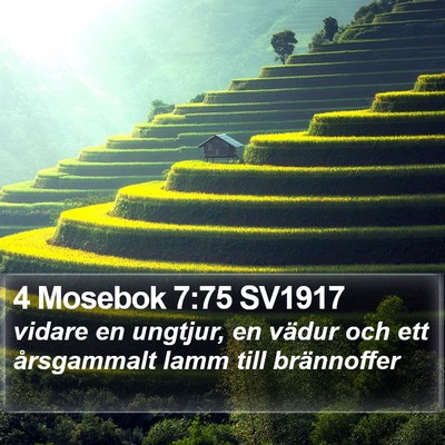 4 Mosebok 7:75 SV1917 Bible Verse Image