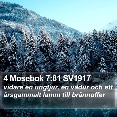 4 Mosebok 7:81 SV1917 Bible Verse Image