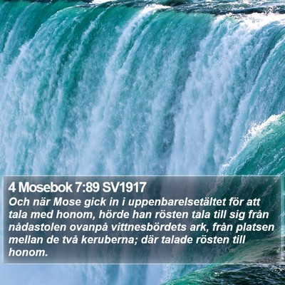 4 Mosebok 7:89 SV1917 Bible Verse Image