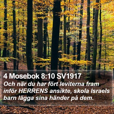 4 Mosebok 8:10 SV1917 Bible Verse Image
