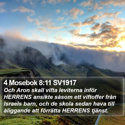 4 Mosebok 8:11 SV1917 Bible Verse Image