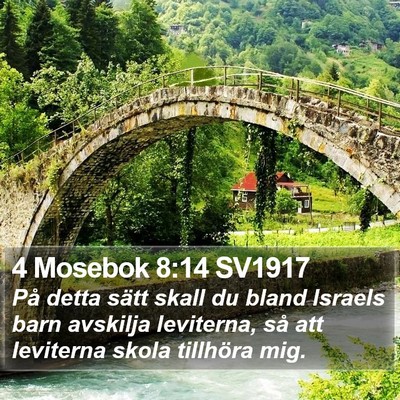 4 Mosebok 8:14 SV1917 Bible Verse Image