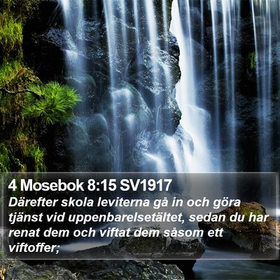 4 Mosebok 8:15 SV1917 Bible Verse Image
