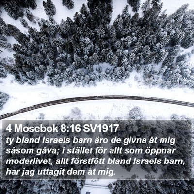 4 Mosebok 8:16 SV1917 Bible Verse Image