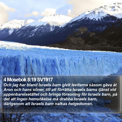 4 Mosebok 8:19 SV1917 Bible Verse Image